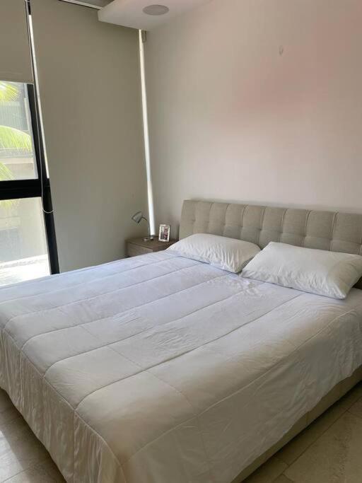 Menesse 32-01 By Utopia Playa del Carmen